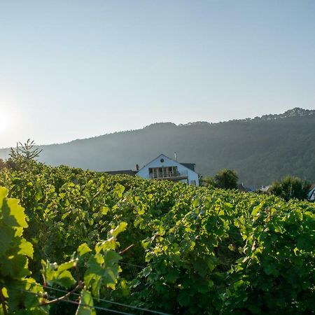 Weingut Johanneshof Minheim Экстерьер фото