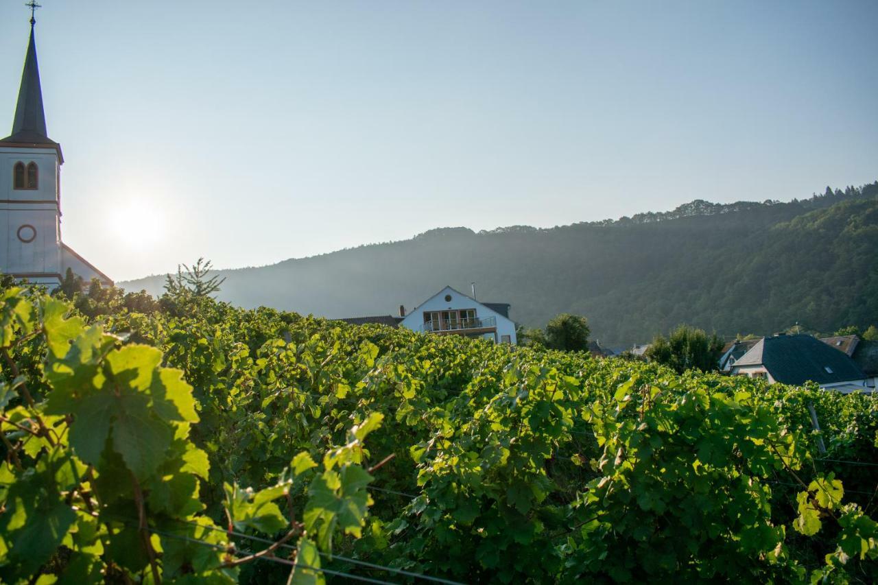 Weingut Johanneshof Minheim Экстерьер фото