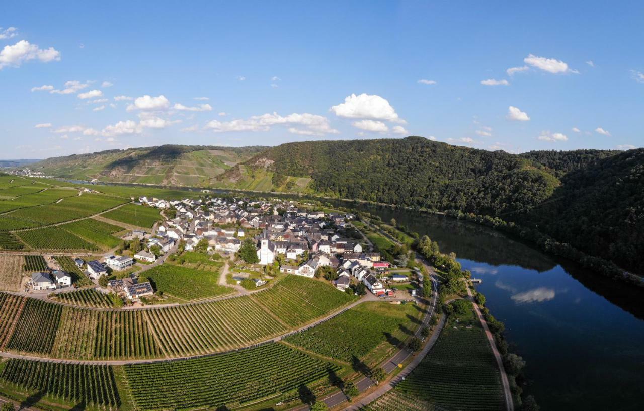 Weingut Johanneshof Minheim Экстерьер фото