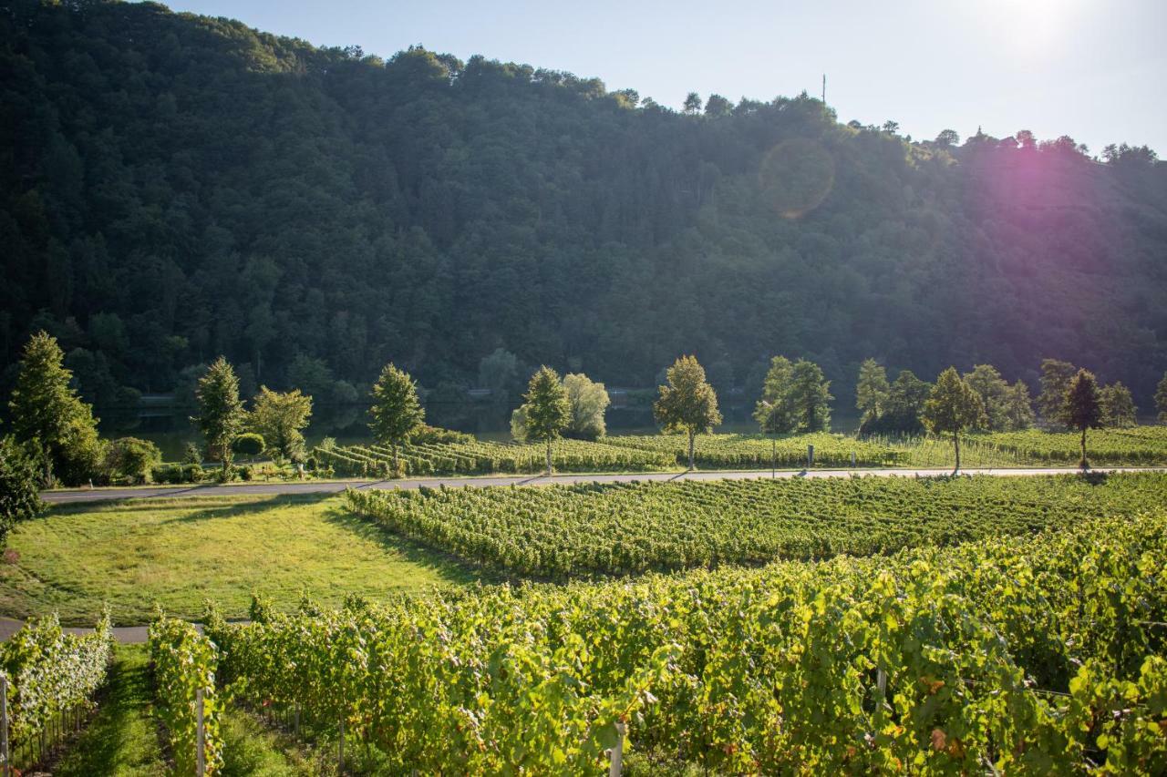 Weingut Johanneshof Minheim Экстерьер фото